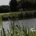 IMG_1145656