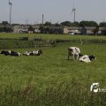 IMG_1145658