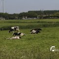 IMG_1145659