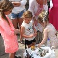 IMG_1147491