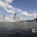 IMG_1155295