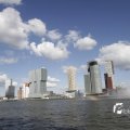 IMG_1155355