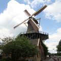 IMG_1154219