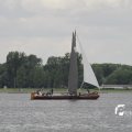 IMG_1154253