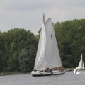 IMG_1154294