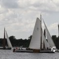 IMG_1154446