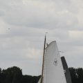 IMG_1154455