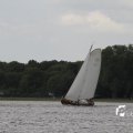 IMG_1154465