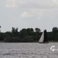 IMG_1154466