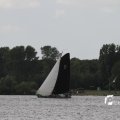 IMG_1154467