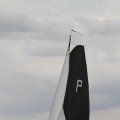 IMG_1154503
