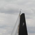 IMG_1154506