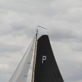 IMG_1154508