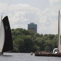 IMG_1154517