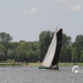 IMG_1154524