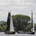 IMG_1154544