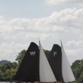 IMG_1154546