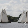 IMG_1154548