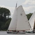 IMG_1154557