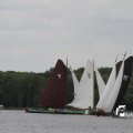 IMG_1154584