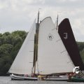 IMG_1154645