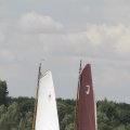 IMG_1154689