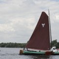 IMG_1154816