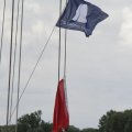 IMG_1154846