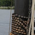 IMG_1154855
