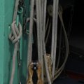 IMG_1154867