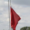 IMG_1154944