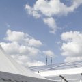 IMG_1155085