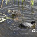 IMG_1155197