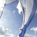 IMG_1155258