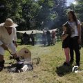 IMG_1155447