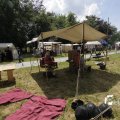 IMG_1155484