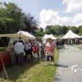 IMG_1155488