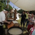 IMG_1155495