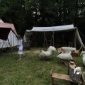 IMG_1155584