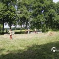 IMG_1155614