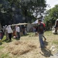 IMG_1155637
