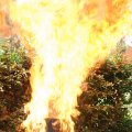 opendag brandweer 342