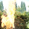 opendag brandweer 343