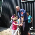 IMG_773337