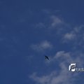 08104F2014