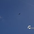 08107F2014