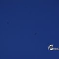 08108F2014