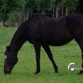 07928F2014
