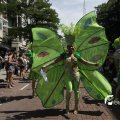 IMG_1171108