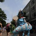 IMG_1171478